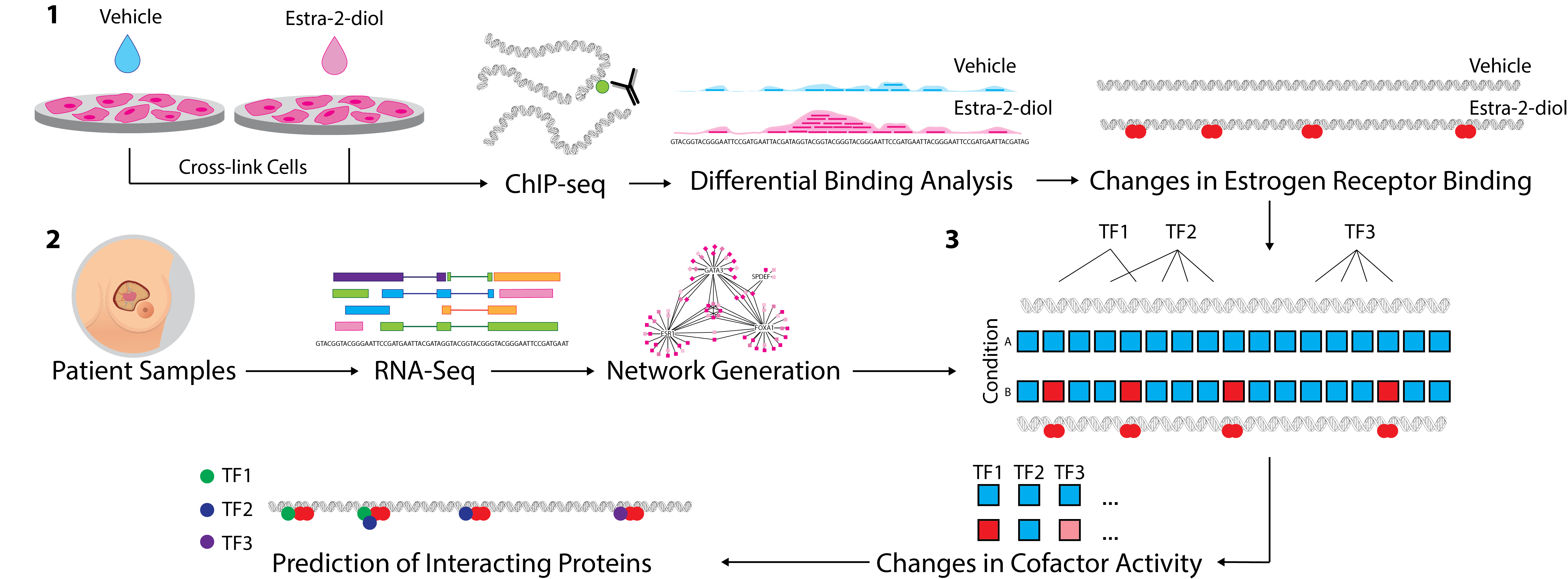 Figure showing VULCAN workflow